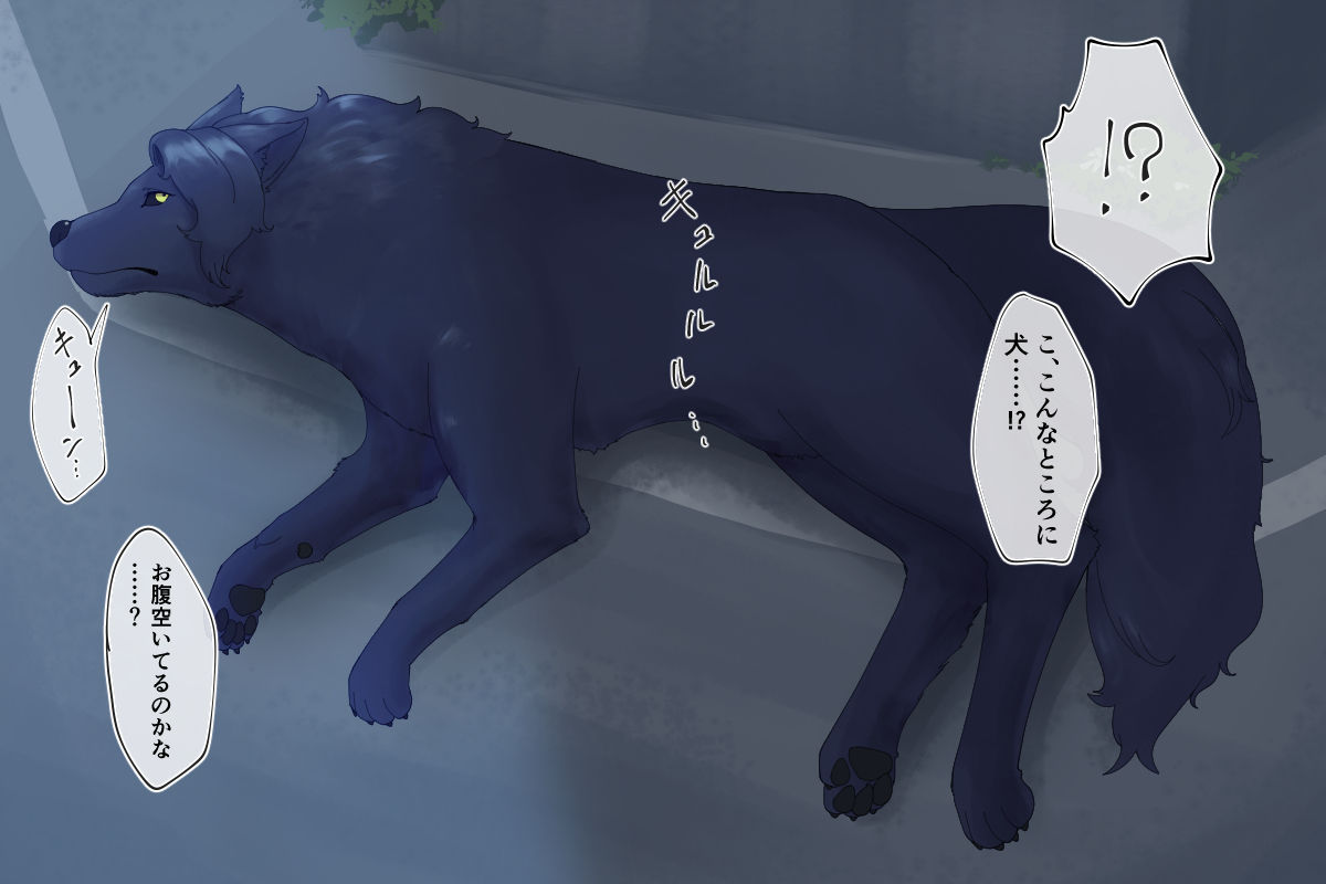 番い婚～拾った犬は狼でした～ page 4 full