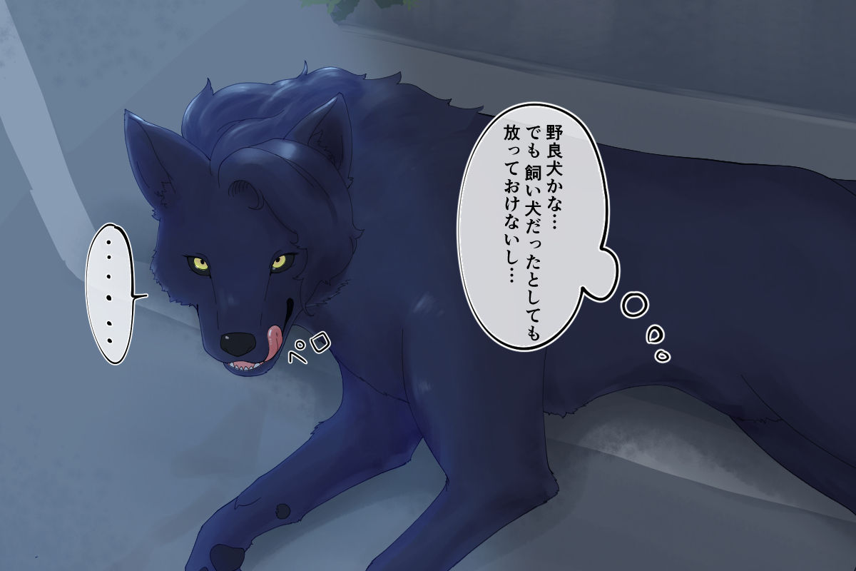 番い婚～拾った犬は狼でした～ page 6 full