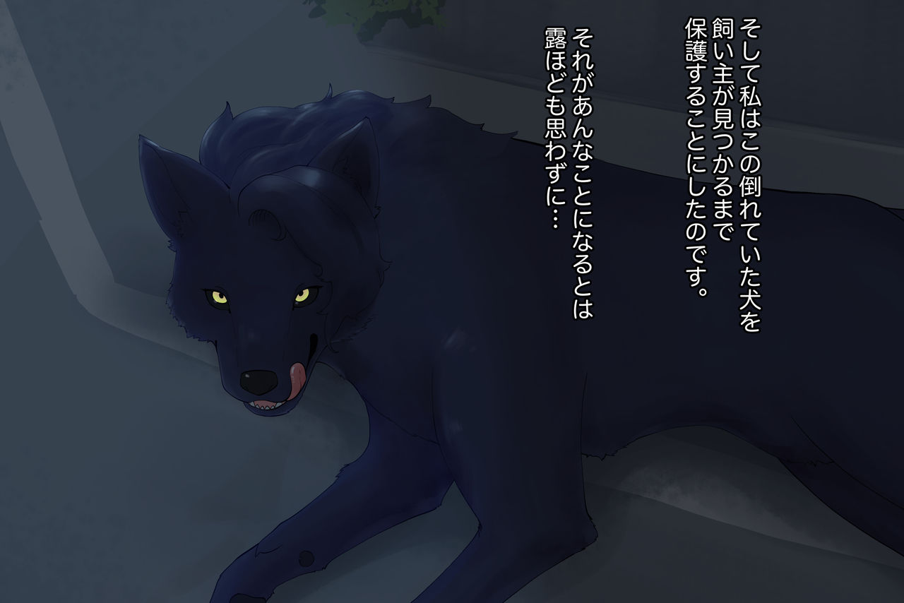 番い婚～拾った犬は狼でした～ page 7 full