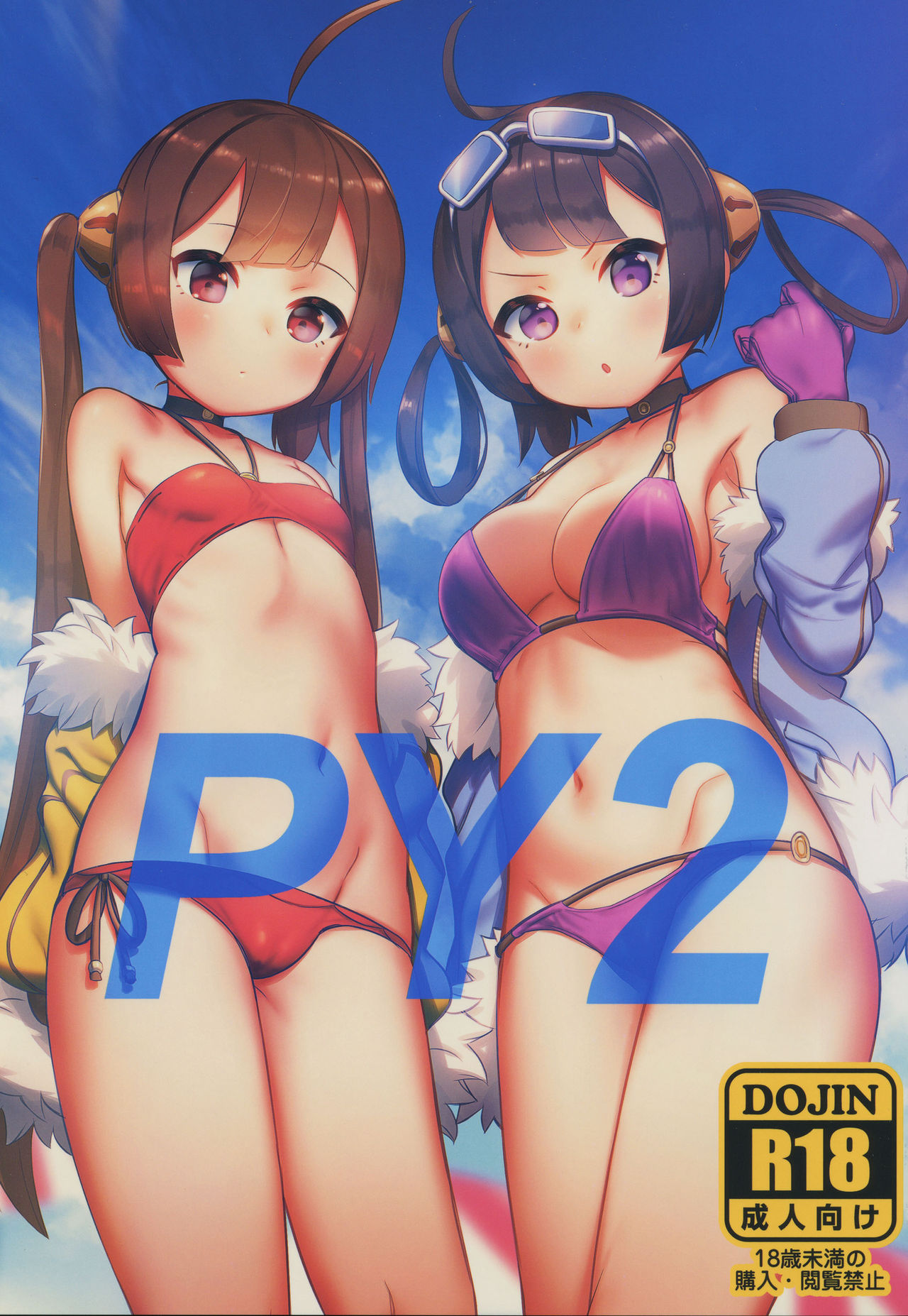 PY2 page 1 full