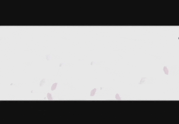 StunGun - Keqing version page 1 full