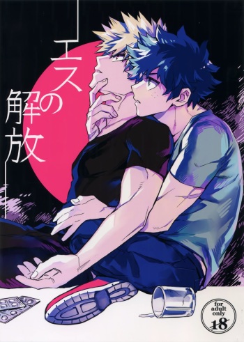 Es no Kaihou cover