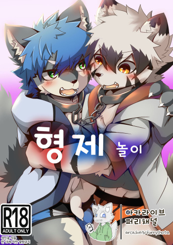 형제놀이 cover