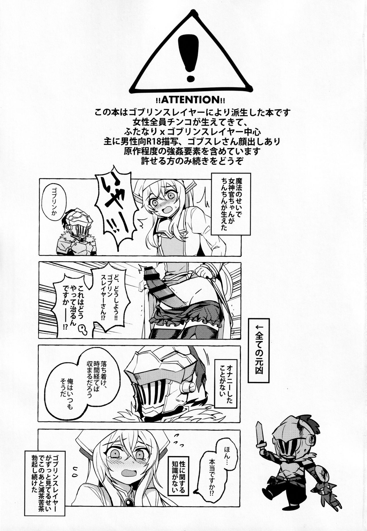 Goblin Slayer-san no Ero Hon page 2 full