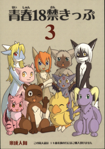 Seishun 18kin Kippu 3 cover