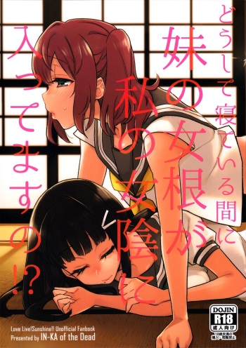 Doushite Neteiru Ma ni Imouto no Nyokon ga Watashi no Nyoin ni Haittemasu no!? cover