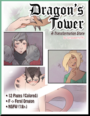 Dragon's Tower cover