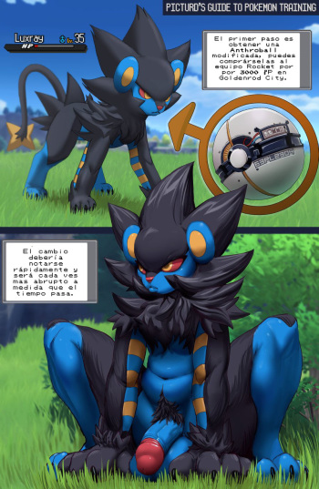 Luxray's Anthroball Training cover