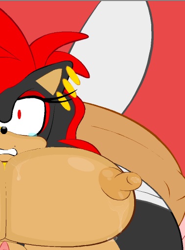 Sonic Transformed Flash rip off page 10 full