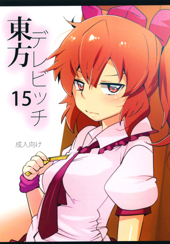 Touhou Derebitch 15 cover