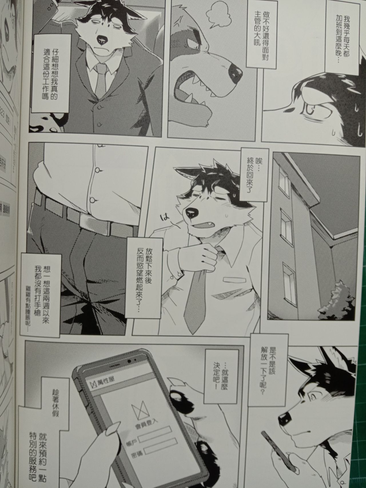Special Order Delivery 2 page 4 full