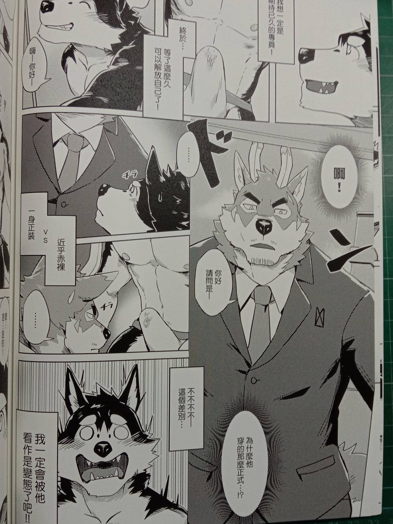 Special Order Delivery 2 page 8 full