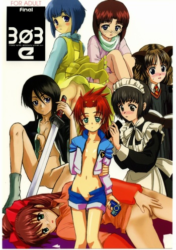 303e Final cover