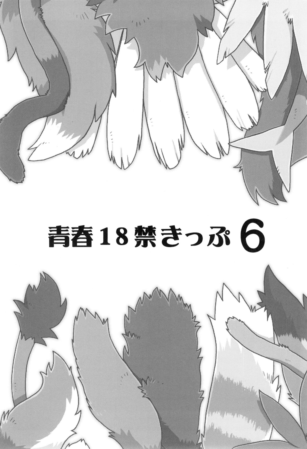 Seishun 18 Kin Kippu 6 page 2 full