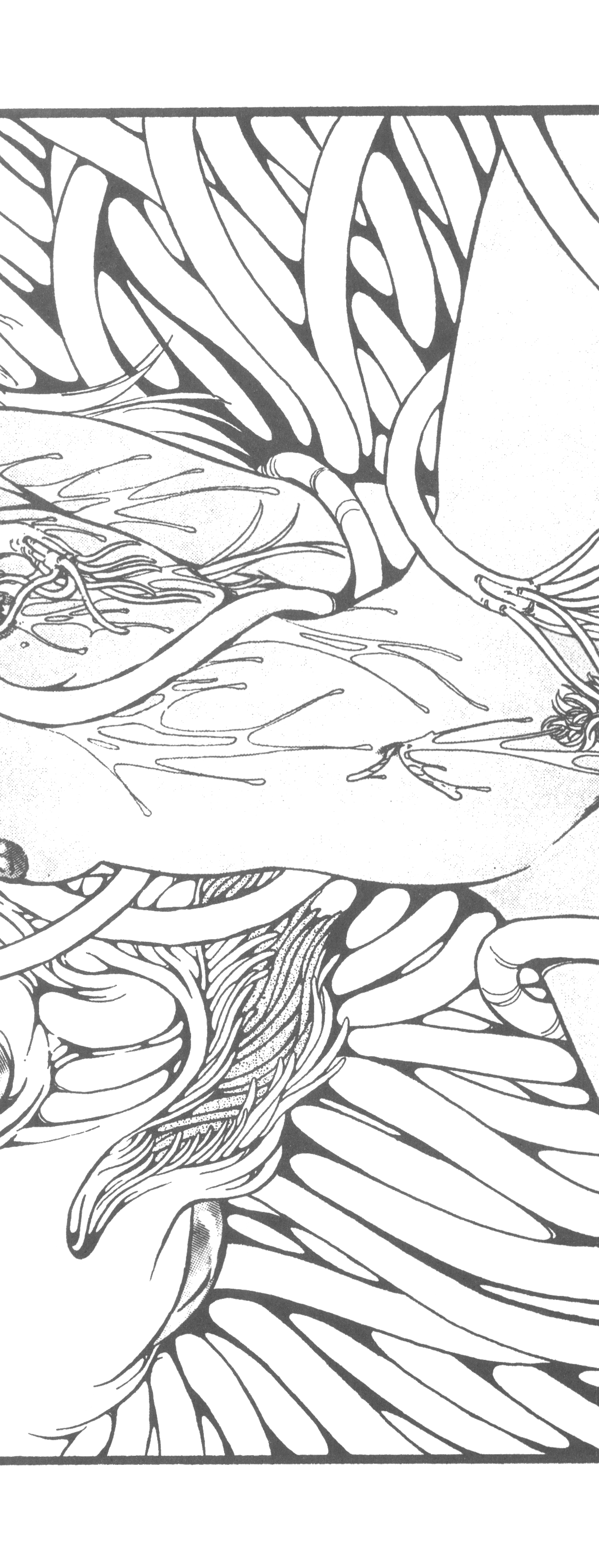 Washi Jaa!! page 4 full