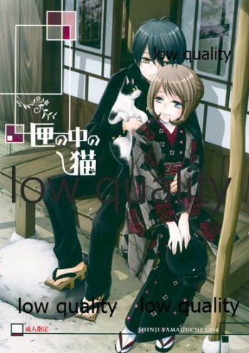 匣の中の猫 cover