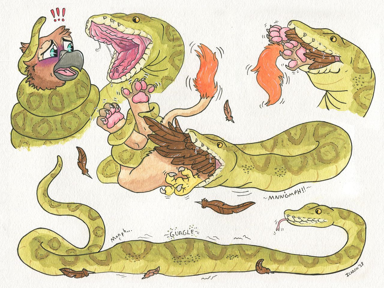 ARTIST Gryphius page 7 full