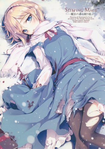 SLEEPING MAGE -Mahou no Mori no Nemurihime- Gekidoku Shoujo Publication Number VII cover