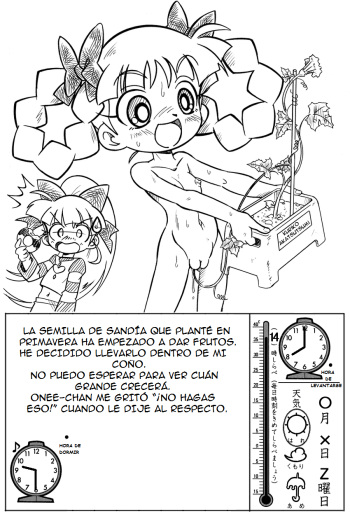 Cultivo de Sandia cover