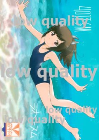 401TSM cover