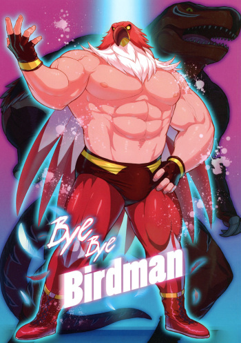 Bye Bye Birdman cover