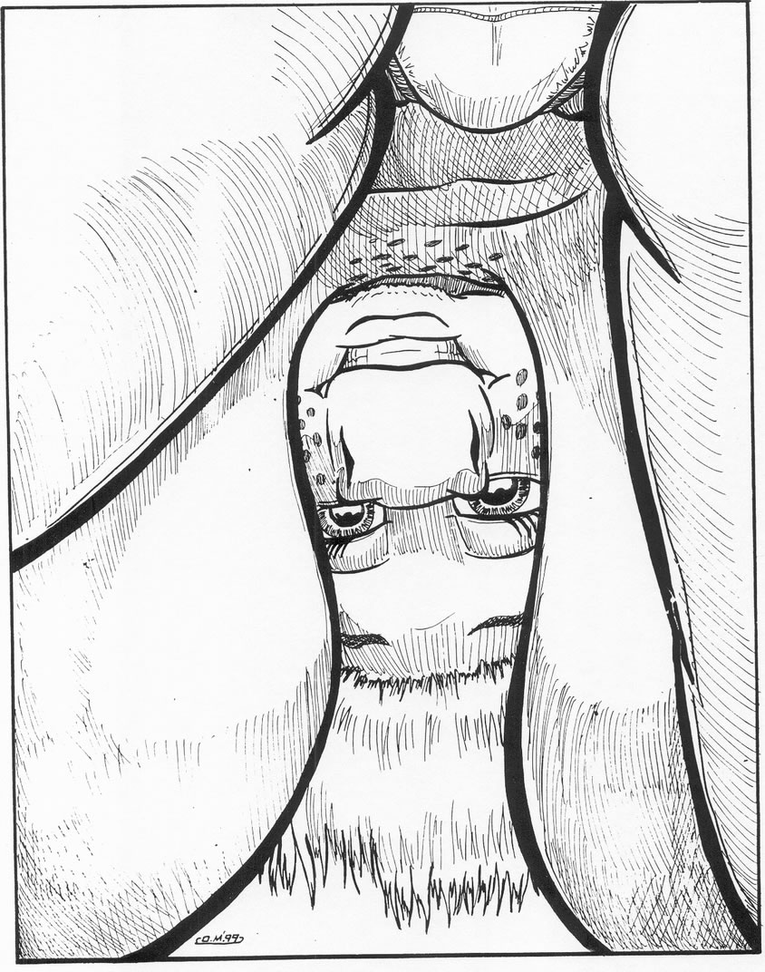 Las Vaquitas De La Granja De Jamine page 9 full