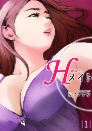 H Mate 1-4 cover