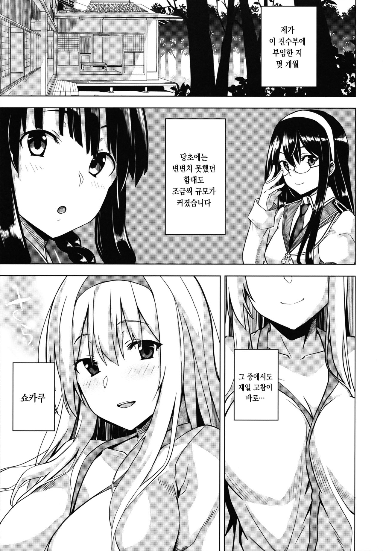 Kahogo na Shoukaku no Yuuutsu | 과보호인 쇼카쿠의 우울 page 4 full