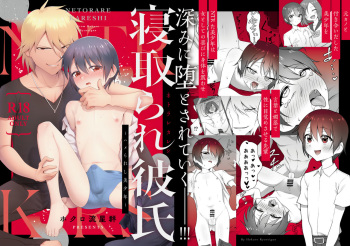 Netorare Kareshi ~Hamerareshi Bishounen~ cover