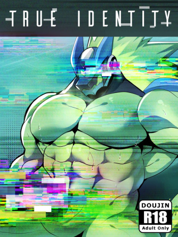 True Identity – Mega Man Star Force dj cover