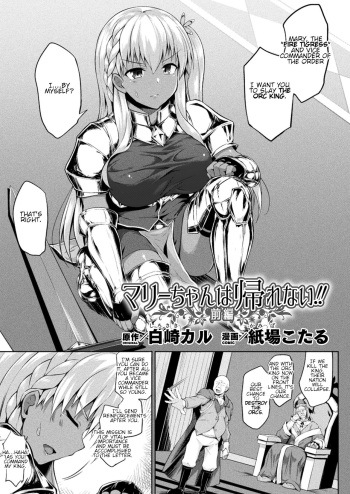 Mary-chan wa Kaerenai!! Zenpen cover