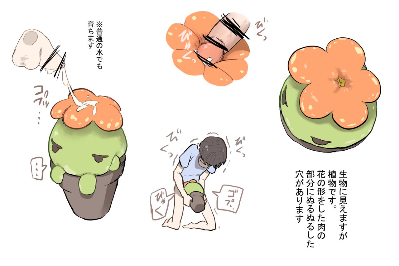 PN  Collection page 6 full