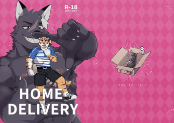 Home Delivery cover