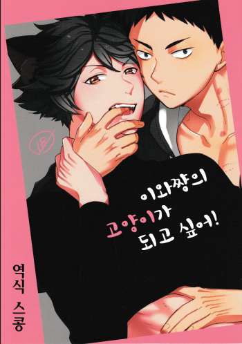 Iwa-chan no Neko ni Naritai | 이와쨩의 고양이가 되고 싶다! cover