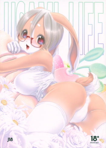 USAMI LIFE cover