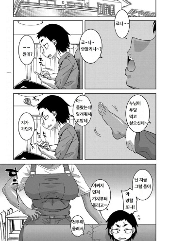 Chotto Bijin de Mune ga Dekakute Eroi dake no Baka Nee Ch. 1 cover