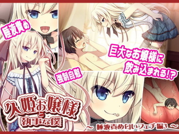 Hisaki Ojou-sama to Shitsuji na Boku ~Daeki Zeme Nioi Feti Hen 3~ cover