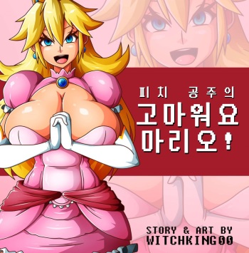 Princess Peach in: Thanks Mario! | 피치 공주의 고마워요 마리오! cover