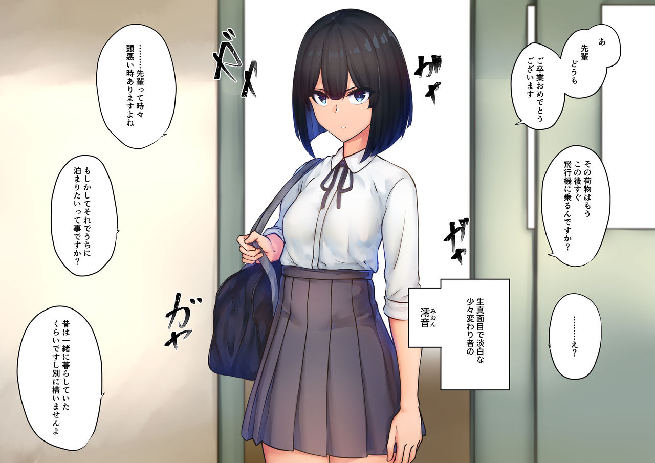 SK-H ZIP Tan page 2 full