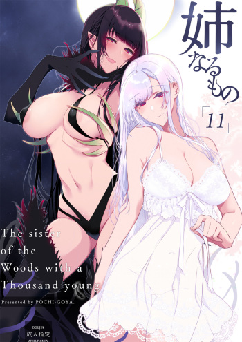 Ane Naru Mono 11 cover