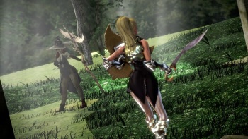 Elf Warrior Princess cover