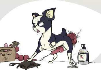 Iggy's Bizarre Toy Box cover