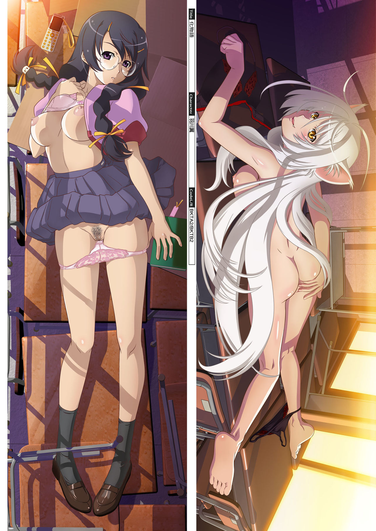 DM Dakimakura Art Collection EX2.0 page 9 full