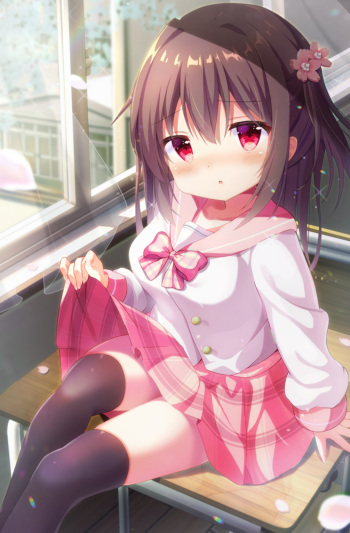 Kotorifu（17596327） cover