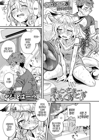 Hot Summer Fox Days cover