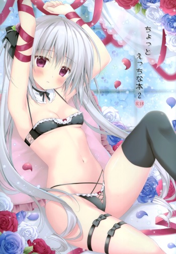 Chotto ecchi na hon2 cover