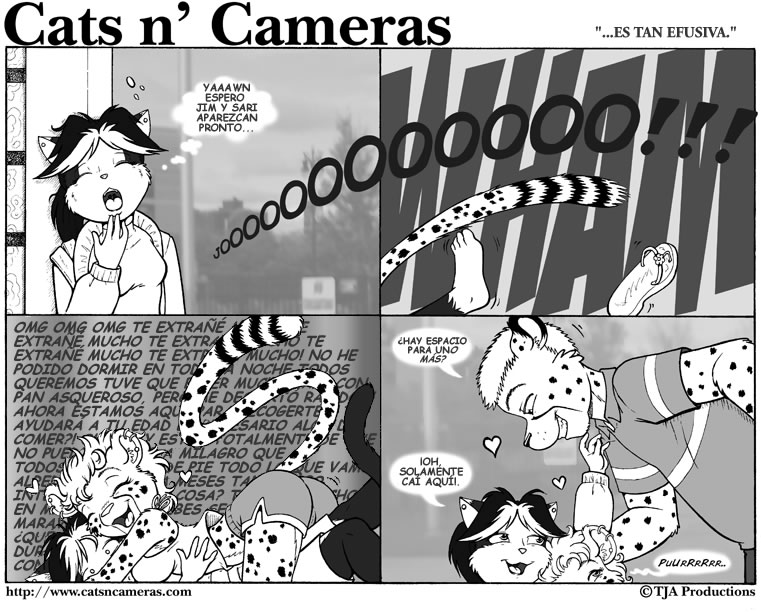 Cats &amp; Cameras page 2 full