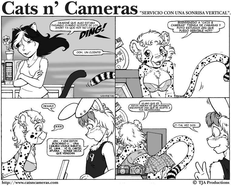 Cats &amp; Cameras page 5 full