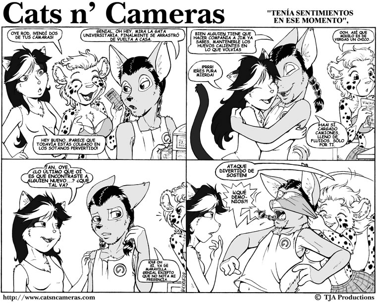Cats &amp; Cameras page 7 full
