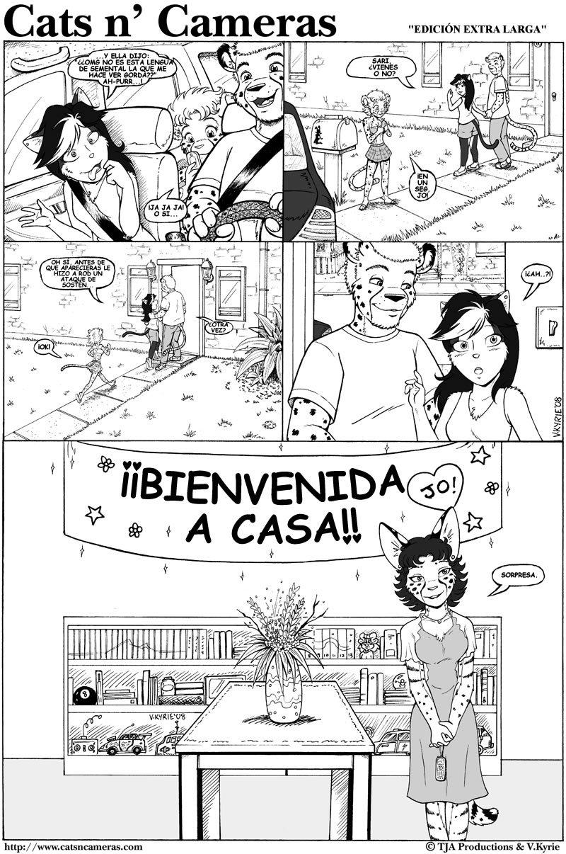 Cats &amp; Cameras page 9 full